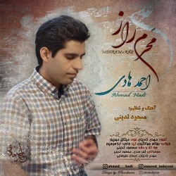دانلود آهنگ مذهبی محرم راز از احمد هادی